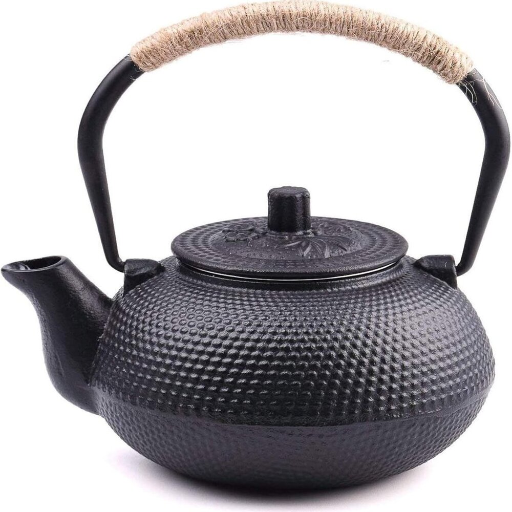 New Japanese Tetsubin Cast Iron Teapot Tea Kettle pot with Stainless Steel Infus